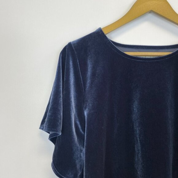 Madewell Blue Velvet Flutter Sleeve Top - Picture 5 of 10